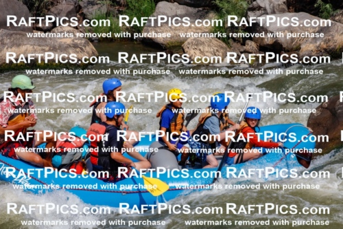 006314_July-25_New-Wave_RAFTPICS_Racecourse-AM_SWOrlando