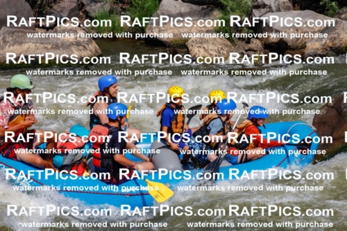 006315_July-25_New-Wave_RAFTPICS_Racecourse-AM_SWOrlando