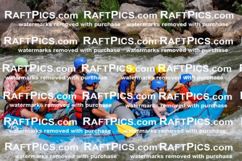 006316_July-25_New-Wave_RAFTPICS_Racecourse-AM_SWOrlando