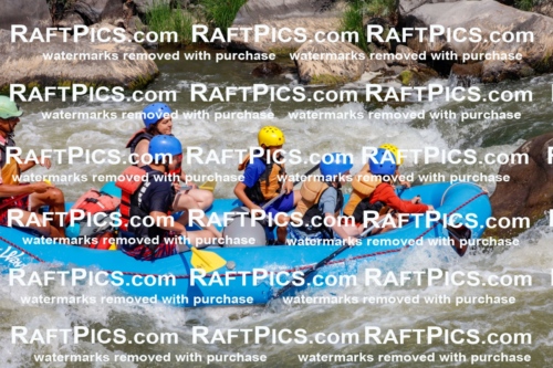 006317_July-25_New-Wave_RAFTPICS_Racecourse-AM_SWOrlando