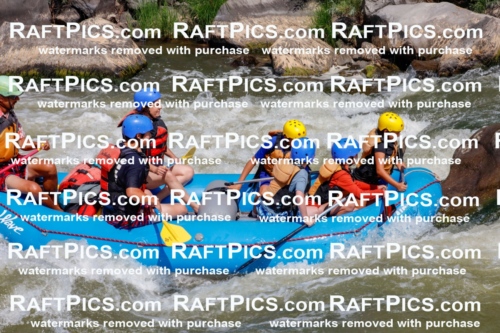 006318_July-25_New-Wave_RAFTPICS_Racecourse-AM_SWOrlando