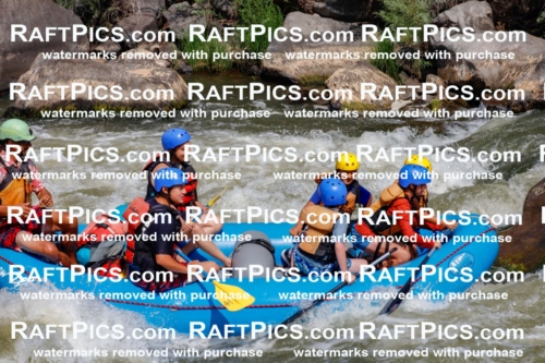 006319_July-25_New-Wave_RAFTPICS_Racecourse-AM_SWOrlando