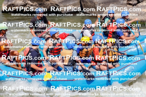 006321_July-25_New-Wave_RAFTPICS_Racecourse-AM_SWOrlando