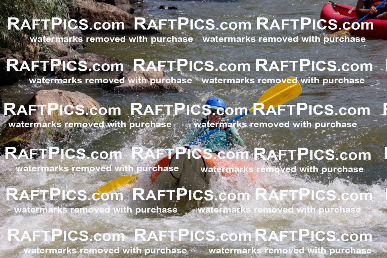 006365_July-25_New-Wave_RAFTPICS_Racecourse-AM_SWfunyaks-kathy