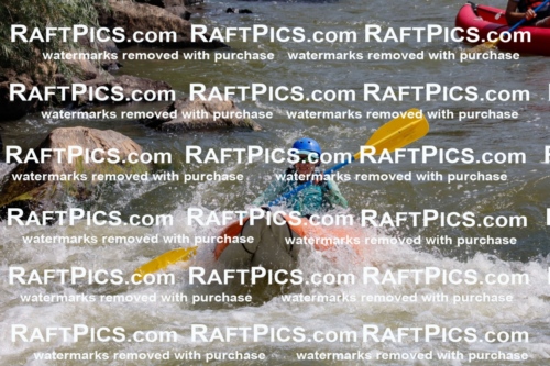 006365_July-25_New-Wave_RAFTPICS_Racecourse-AM_SWfunyaks-kathy