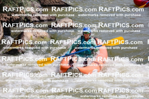 006366_July-25_New-Wave_RAFTPICS_Racecourse-AM_SWfunyaks-kathy