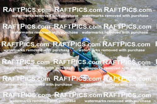 006368_July-25_New-Wave_RAFTPICS_Racecourse-AM_SWfunyaks-kathy