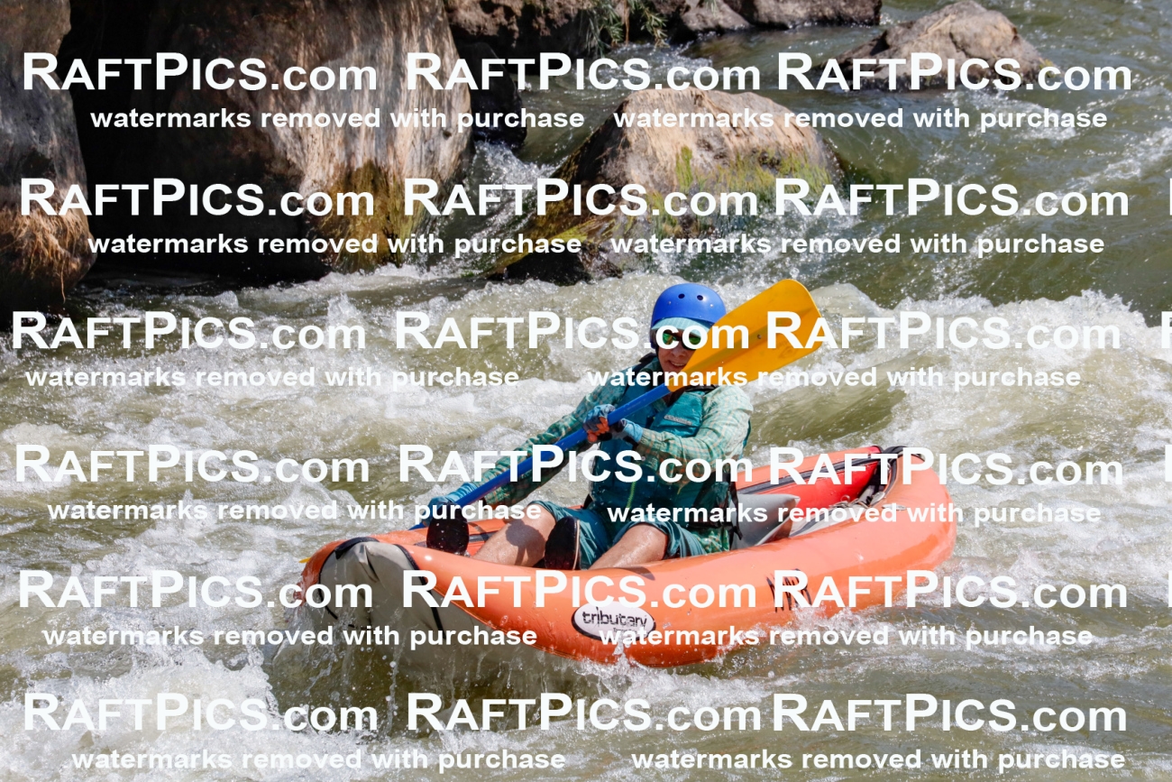 006370_July-25_New-Wave_RAFTPICS_Racecourse-AM_SWfunyaks-kathy