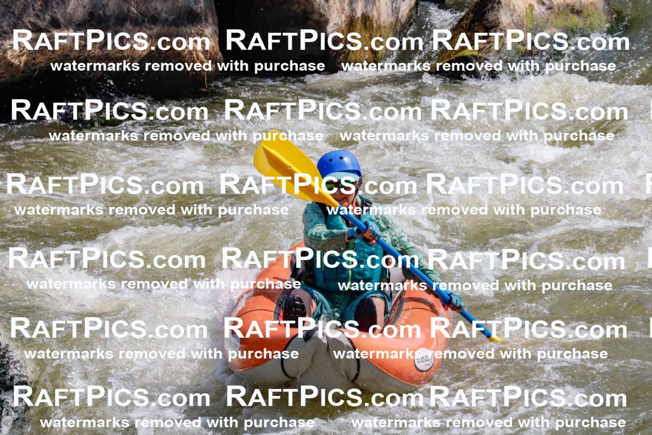 006371_July-25_New-Wave_RAFTPICS_Racecourse-AM_SWfunyaks-kathy