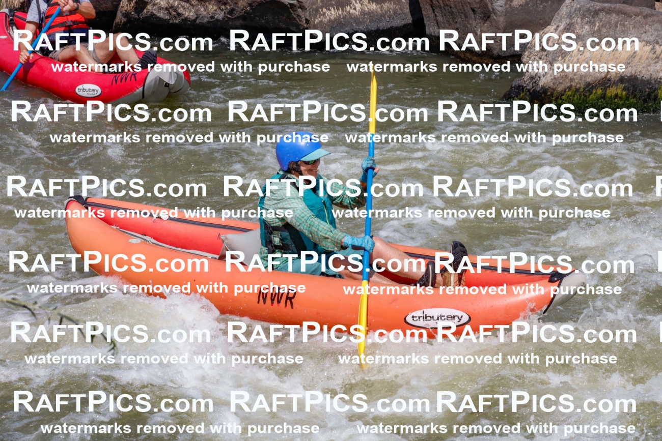 006376_July-25_New-Wave_RAFTPICS_Racecourse-AM_SWfunyaks-kathy