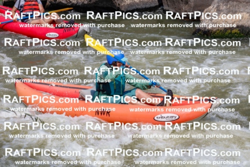 006377_July-25_New-Wave_RAFTPICS_Racecourse-AM_SWfunyaks-kathy