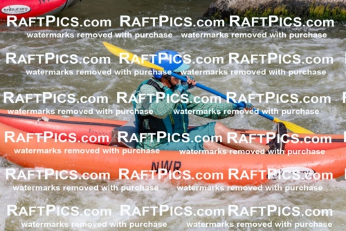 006379_July-25_New-Wave_RAFTPICS_Racecourse-AM_SWfunyaks-kathy