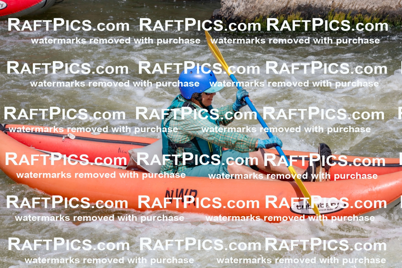 006380_July-25_New-Wave_RAFTPICS_Racecourse-AM_SWfunyaks-kathy