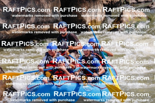 006340_July-25_New-Wave_RAFTPICS_Racecourse-AM_SWRui