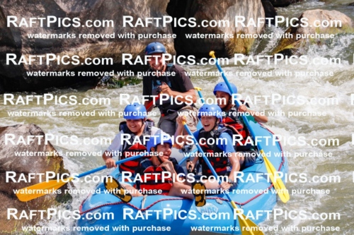 006341_July-25_New-Wave_RAFTPICS_Racecourse-AM_SWRui