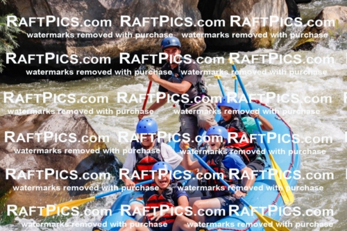 006342_July-25_New-Wave_RAFTPICS_Racecourse-AM_SWRui