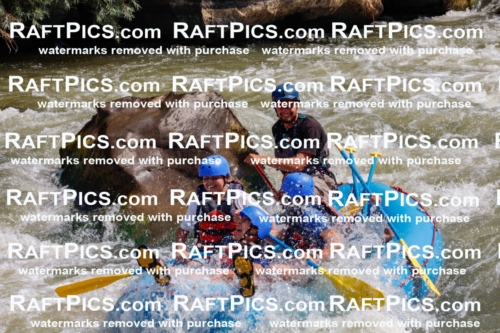 006344_July-25_New-Wave_RAFTPICS_Racecourse-AM_SWRui