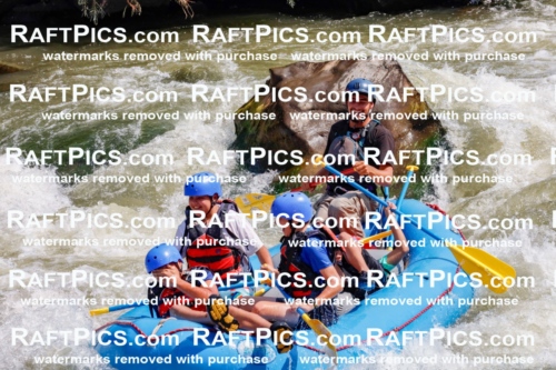 006346_July-25_New-Wave_RAFTPICS_Racecourse-AM_SWRui