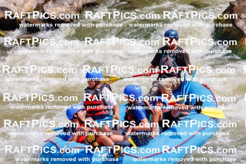 006349_July-25_New-Wave_RAFTPICS_Racecourse-AM_SWRui