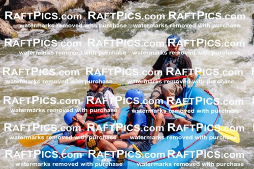 006350_July-25_New-Wave_RAFTPICS_Racecourse-AM_SWRui