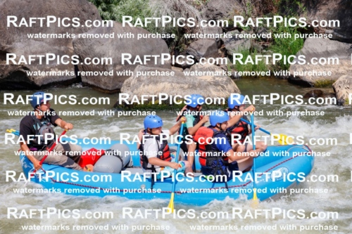 006353_July-25_New-Wave_RAFTPICS_Racecourse-AM_SWRui