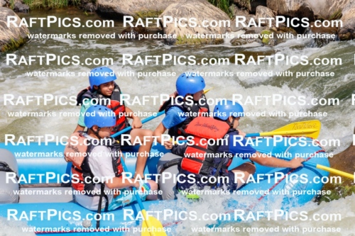 006355_July-25_New-Wave_RAFTPICS_Racecourse-AM_SWRui