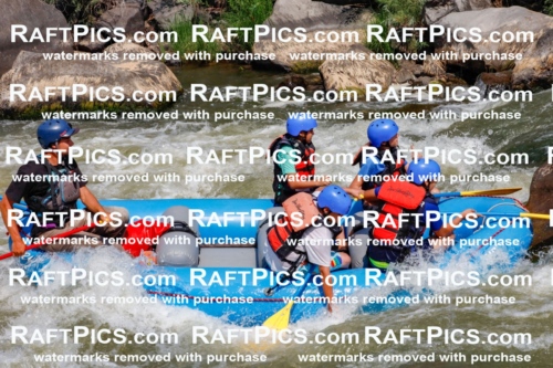 006357_July-25_New-Wave_RAFTPICS_Racecourse-AM_SWRui