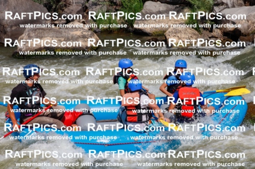 006359_July-25_New-Wave_RAFTPICS_Racecourse-AM_SWRui