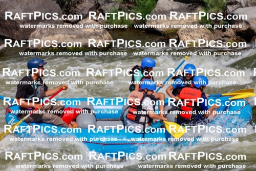 006360_July-25_New-Wave_RAFTPICS_Racecourse-AM_SWRui