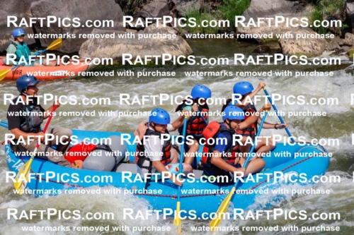 006361_July-25_New-Wave_RAFTPICS_Racecourse-AM_SWRui