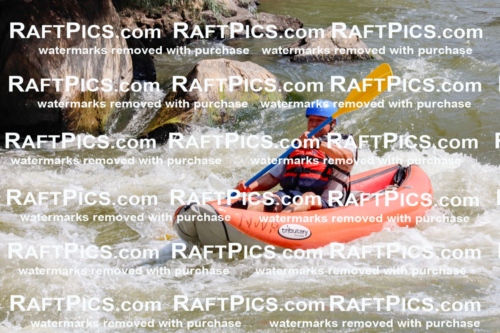 006386_July-25_New-Wave_RAFTPICS_Racecourse-AM_SWfunyaks-1