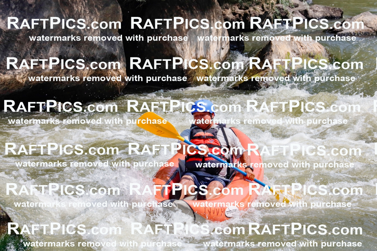 006387_July-25_New-Wave_RAFTPICS_Racecourse-AM_SWfunyaks-1