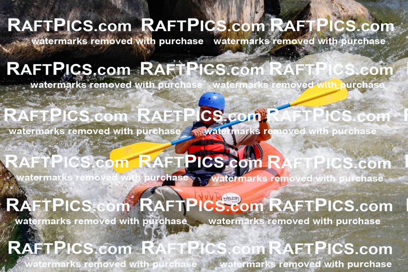 006388_July-25_New-Wave_RAFTPICS_Racecourse-AM_SWfunyaks-1