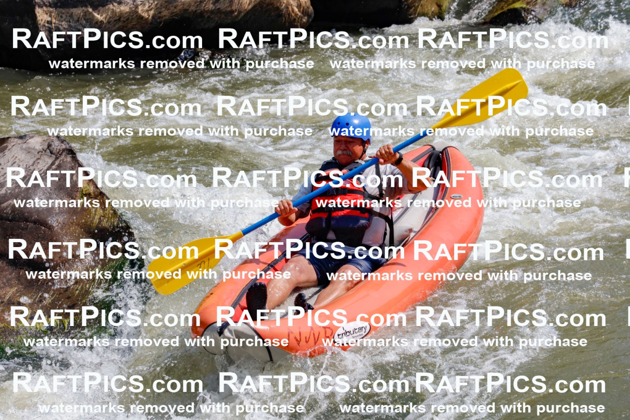 006389_July-25_New-Wave_RAFTPICS_Racecourse-AM_SWfunyaks-1