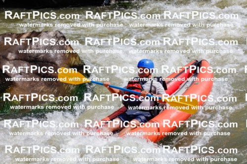 006390_July-25_New-Wave_RAFTPICS_Racecourse-AM_SWfunyaks-1