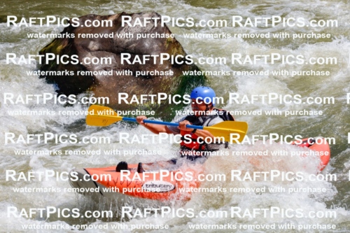 006391_July-25_New-Wave_RAFTPICS_Racecourse-AM_SWfunyaks-1