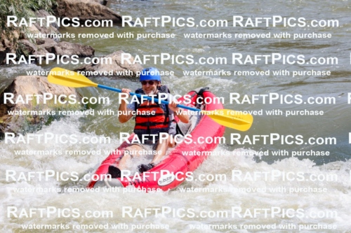 006393_July-25_New-Wave_RAFTPICS_Racecourse-AM_SWfunyaks-2