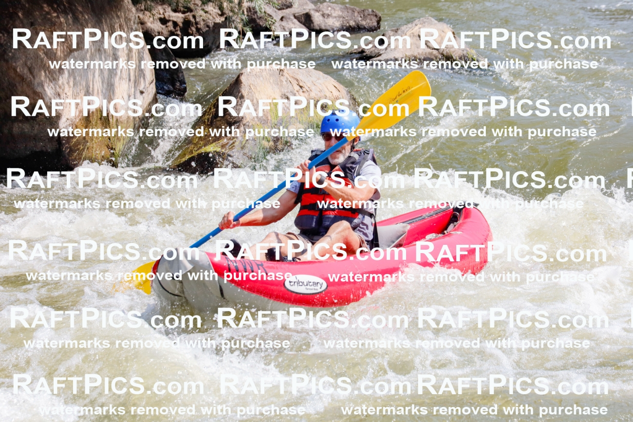 006395_July-25_New-Wave_RAFTPICS_Racecourse-AM_SWfunyaks-2