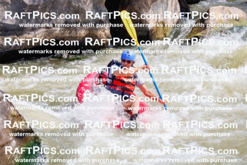 006396_July-25_New-Wave_RAFTPICS_Racecourse-AM_SWfunyaks-2