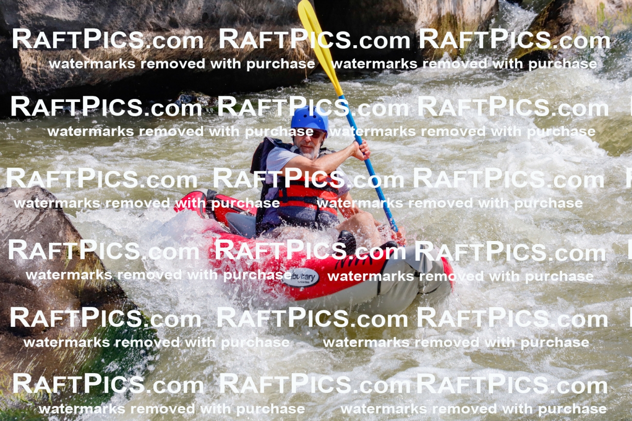 006397_July-25_New-Wave_RAFTPICS_Racecourse-AM_SWfunyaks-2