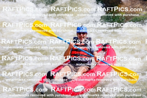 006399_July-25_New-Wave_RAFTPICS_Racecourse-AM_SWfunyaks-2