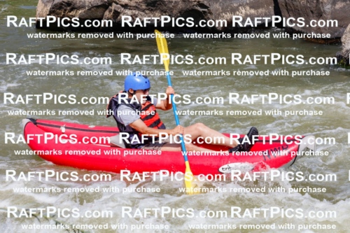 006402_July-25_New-Wave_RAFTPICS_Racecourse-AM_SWfunyaks-2