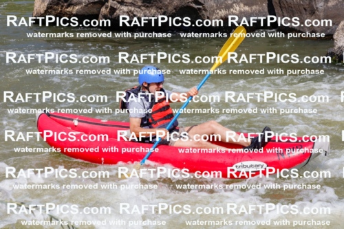 006403_July-25_New-Wave_RAFTPICS_Racecourse-AM_SWfunyaks-2