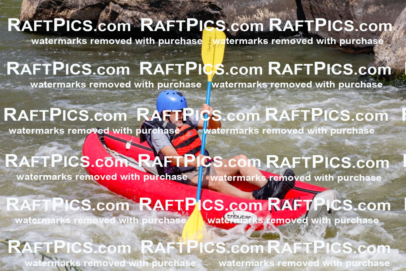 006404_July-25_New-Wave_RAFTPICS_Racecourse-AM_SWfunyaks-2