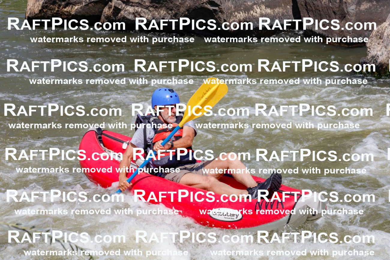 006405_July-25_New-Wave_RAFTPICS_Racecourse-AM_SWfunyaks-2