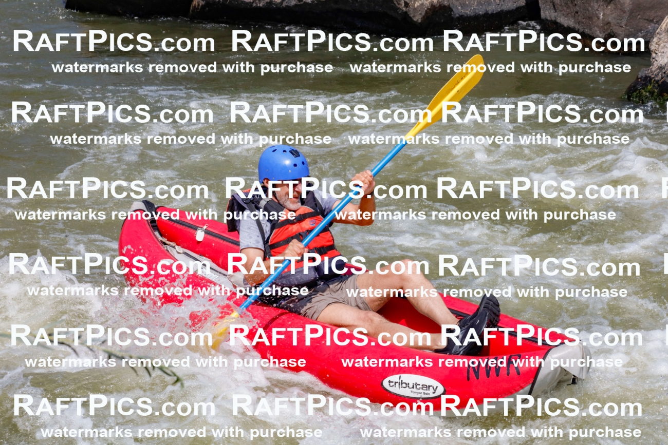 006406_July-25_New-Wave_RAFTPICS_Racecourse-AM_SWfunyaks-2