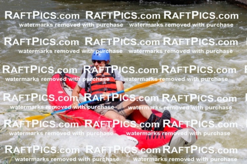 006407_July-25_New-Wave_RAFTPICS_Racecourse-AM_SWfunyaks-2