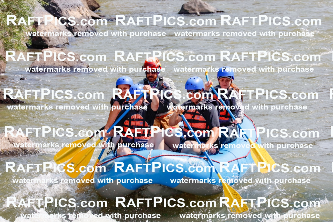 006414_July-25_New-Wave_RAFTPICS_Racecourse-AM_SWBen