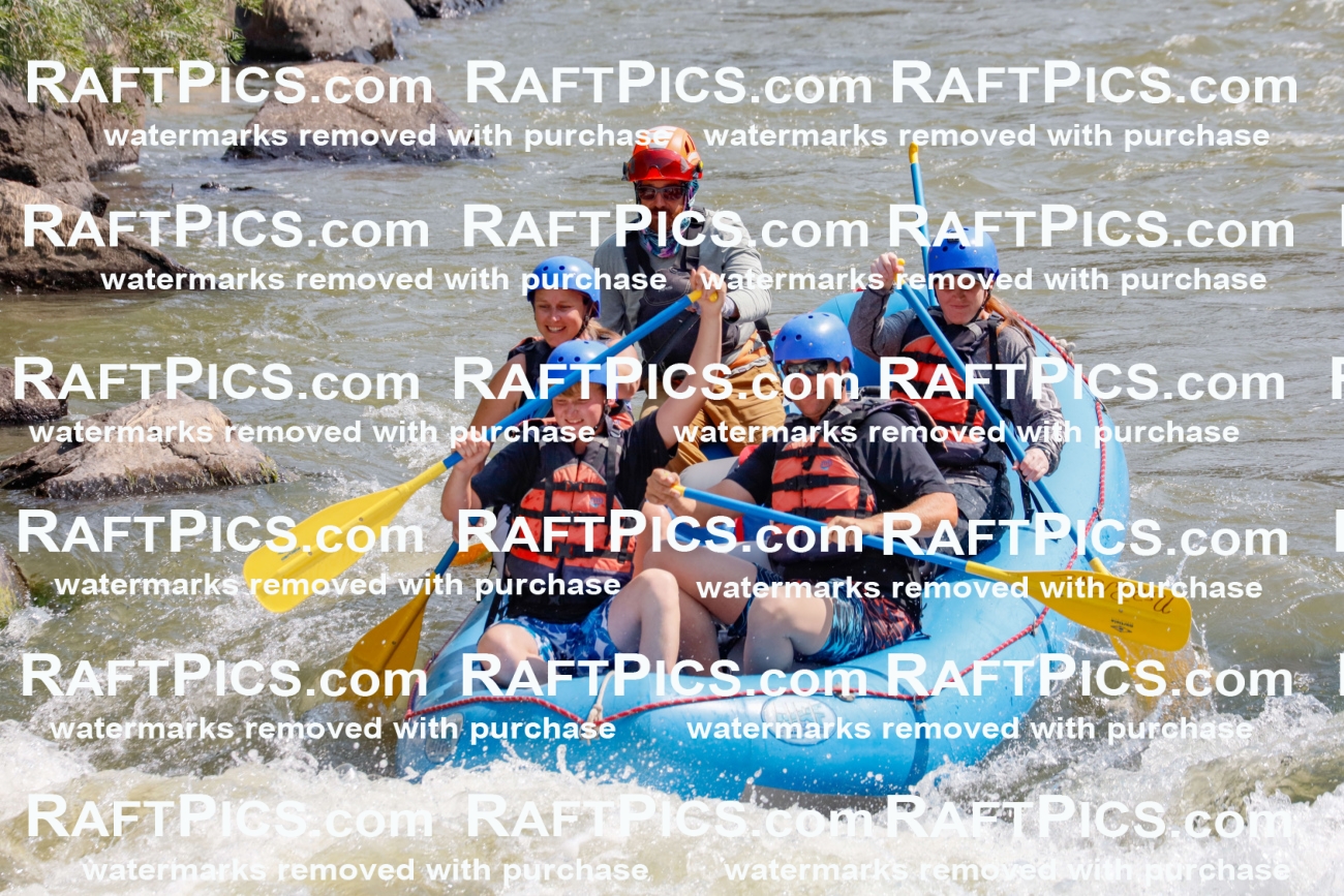 006415_July-25_New-Wave_RAFTPICS_Racecourse-AM_SWBen