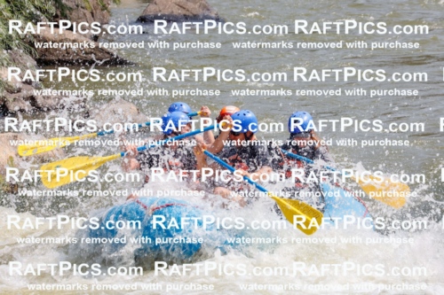 006417_July-25_New-Wave_RAFTPICS_Racecourse-AM_SWBen